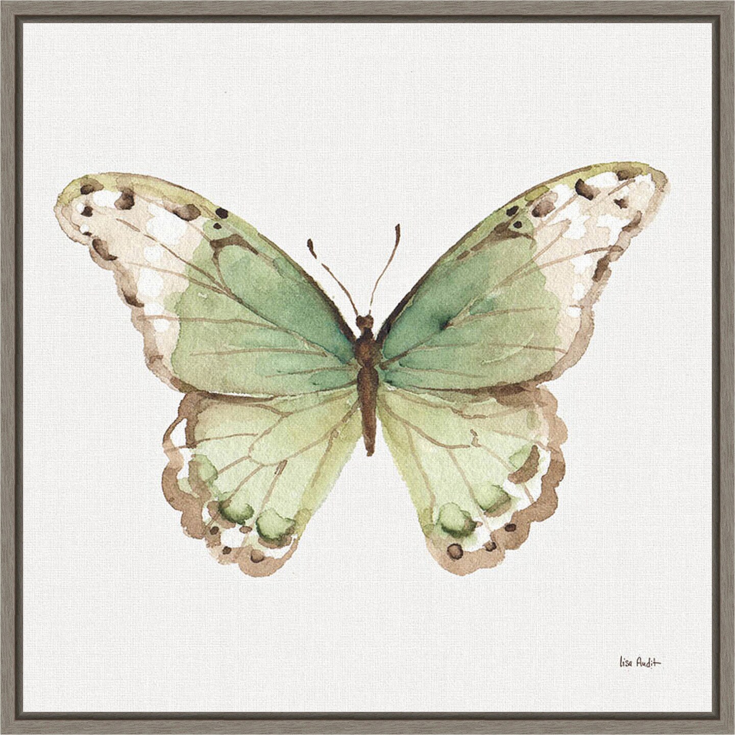 Colorful Breeze XII (Butterfly) by Lisa Audit 16in. W x 16in. H