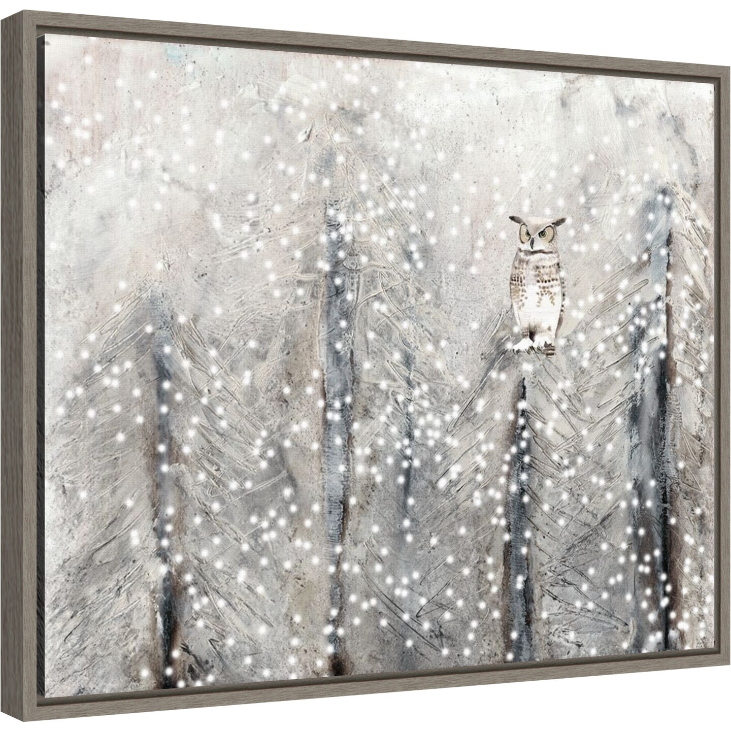 Snowy Habitat I (Owl) by Alicia Ludwig 20-in. W x 16-in. H. Canvas Wall Art Print Framed in Grey