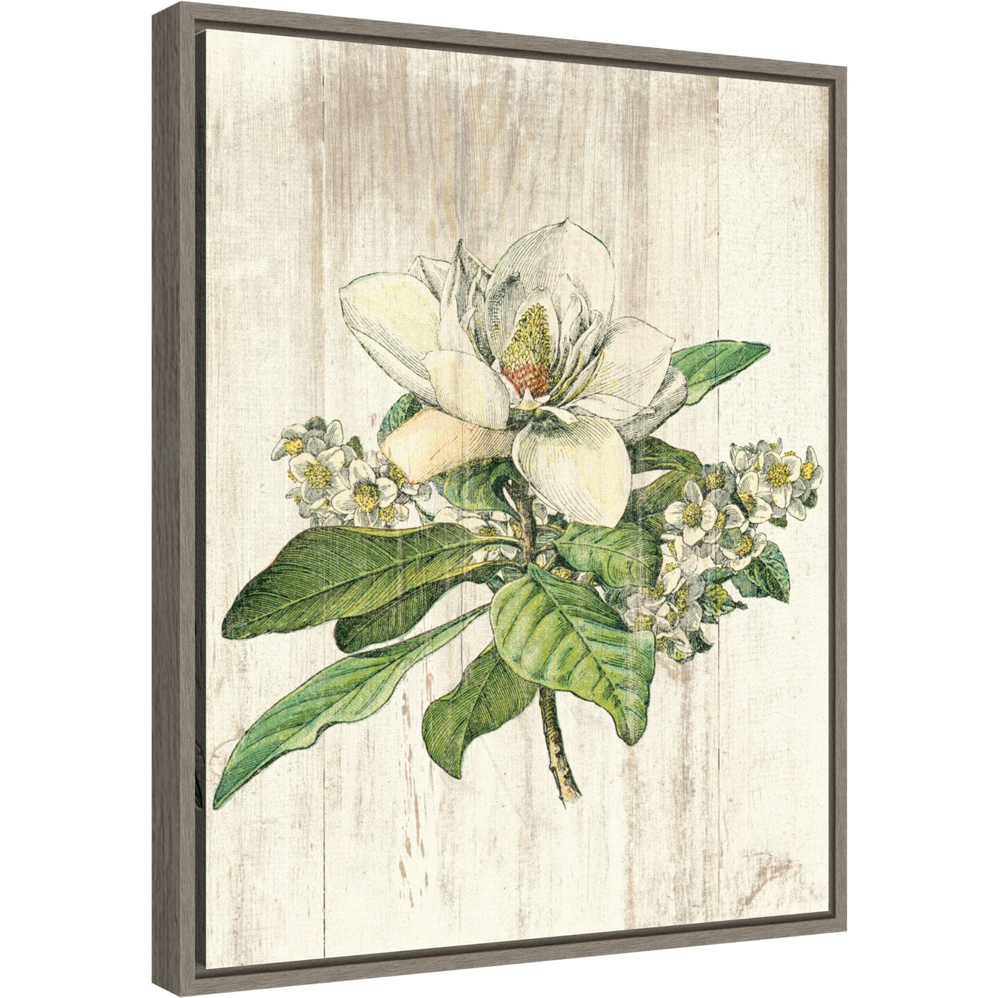 Magnolia de Printemps Flower by Sue Schlabach 16-in. W x 20-in. H. Canvas Wall Art Print Framed in Grey