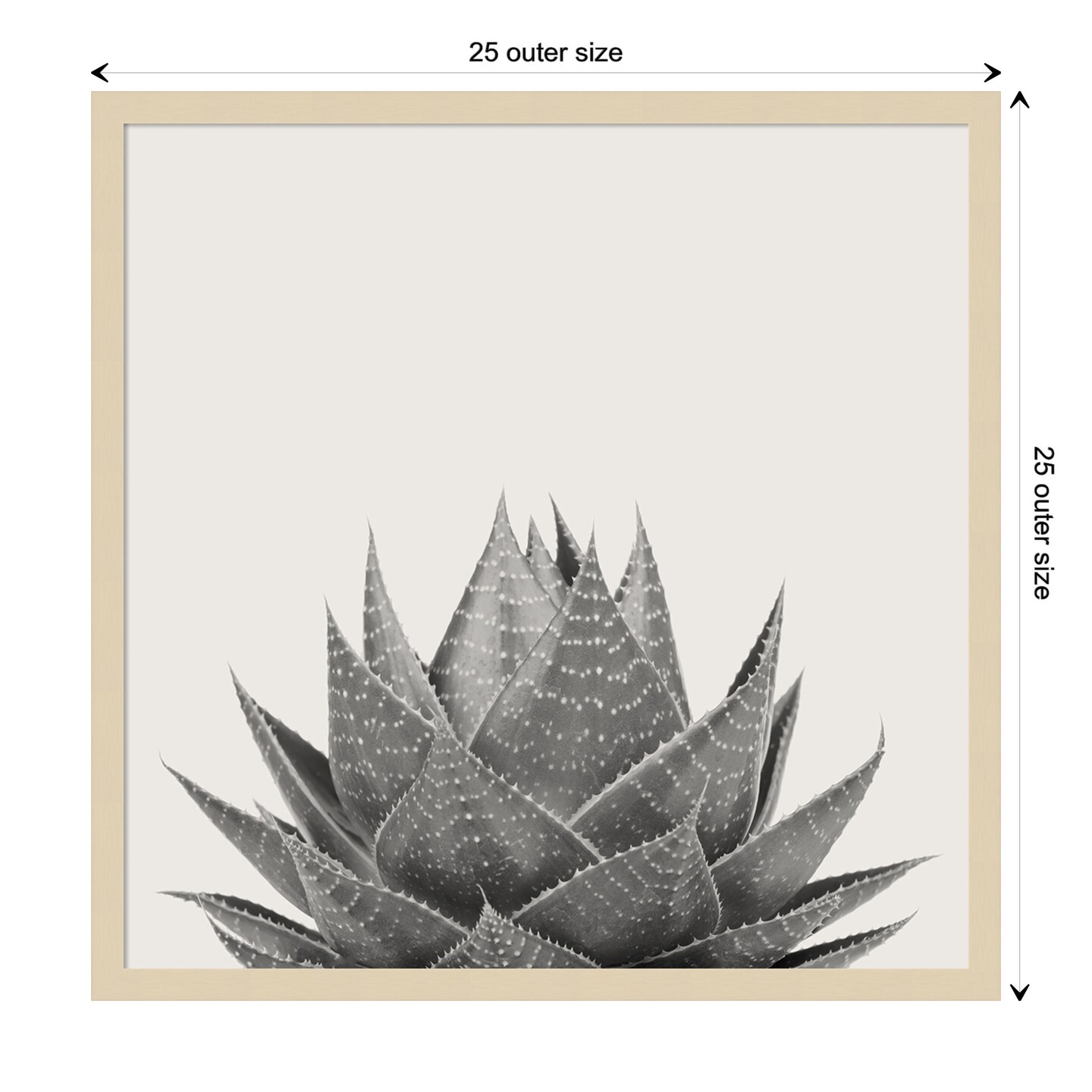 Haze Aloe Succulent by The Creative Bunch Studio Wood Framed Wall Art Print