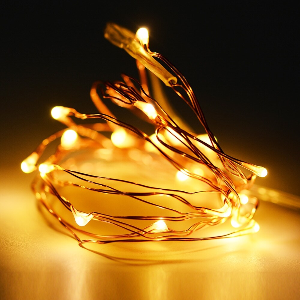 Perfect Holiday 600016 Battery Operated copper 20 LED String Light