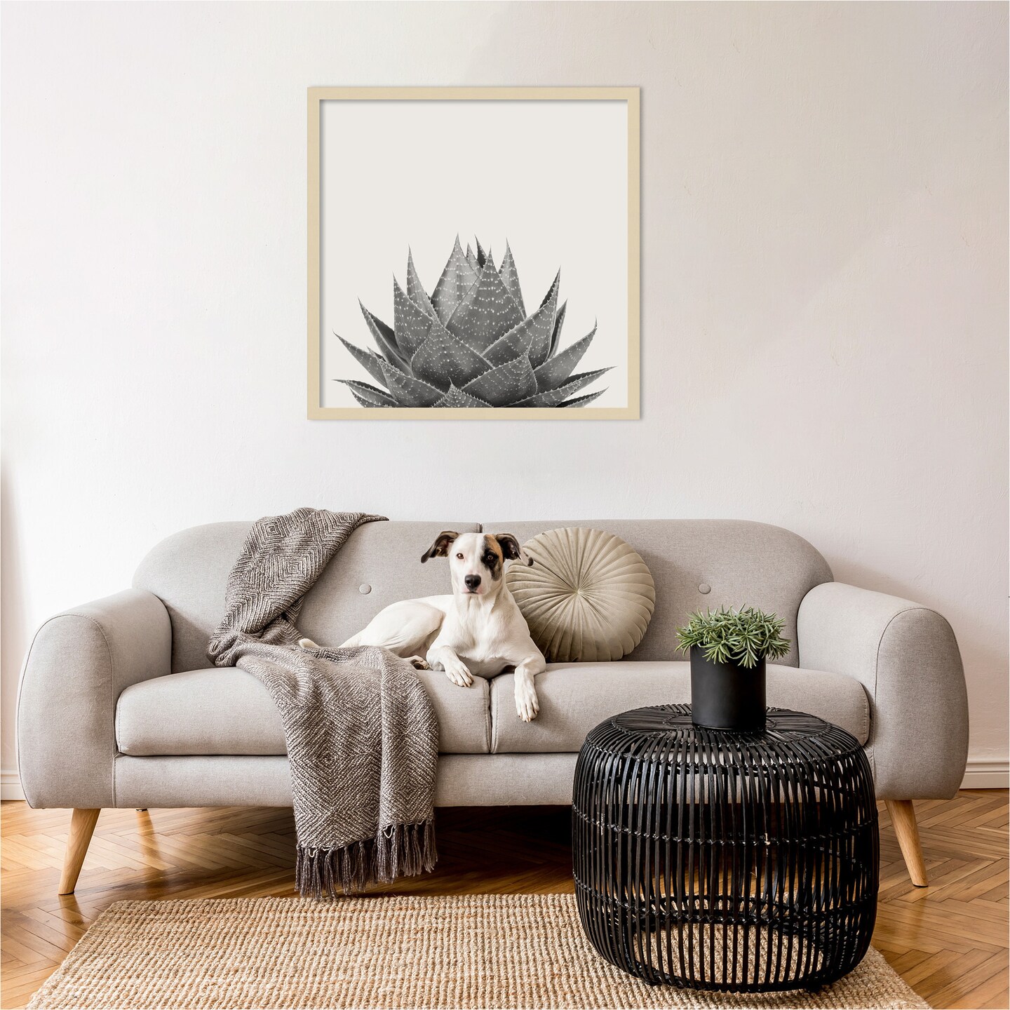 Haze Aloe Succulent by The Creative Bunch Studio Wood Framed Wall Art Print
