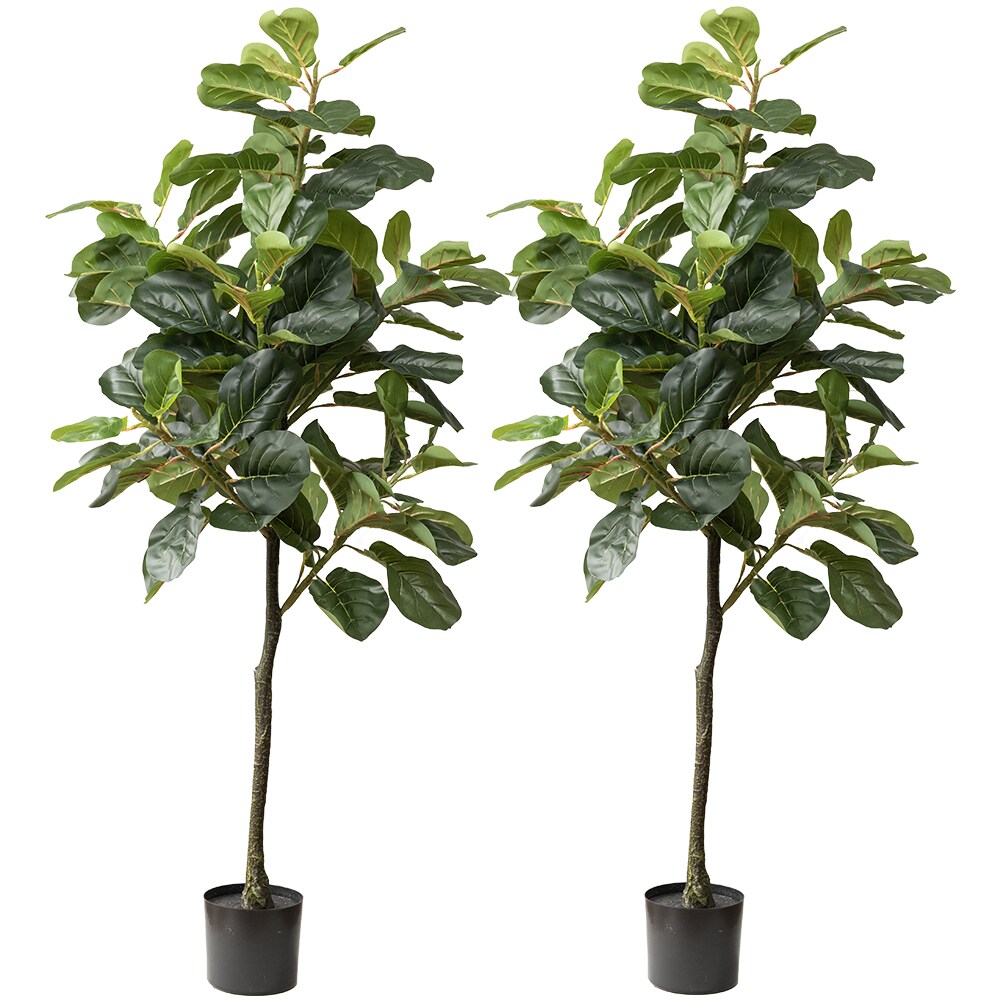 60&#x22; Faux Fiddle Leaf Fig Tree with Black Pot (2 Pack)