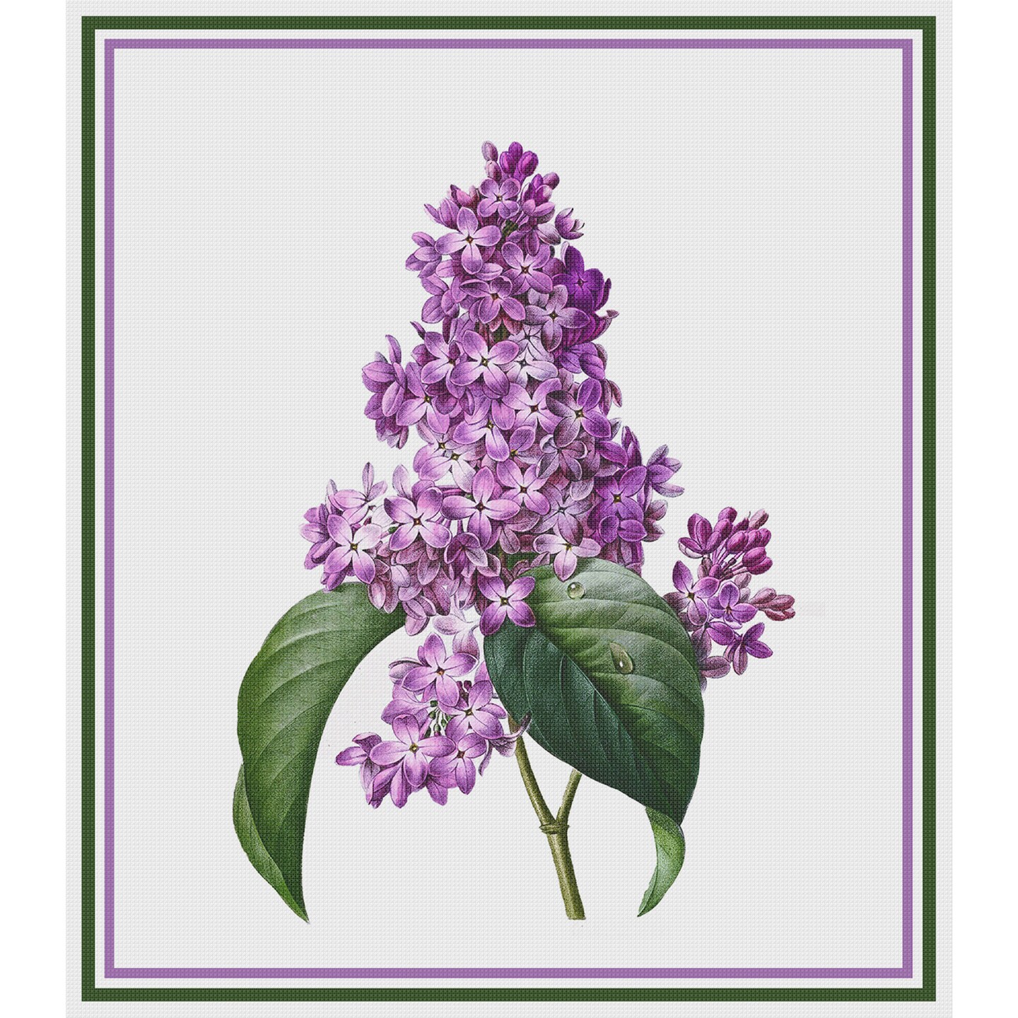 Lilac Flower Inspired by Pierre-Joseph Redoute Counted Cross Stitch Pattern