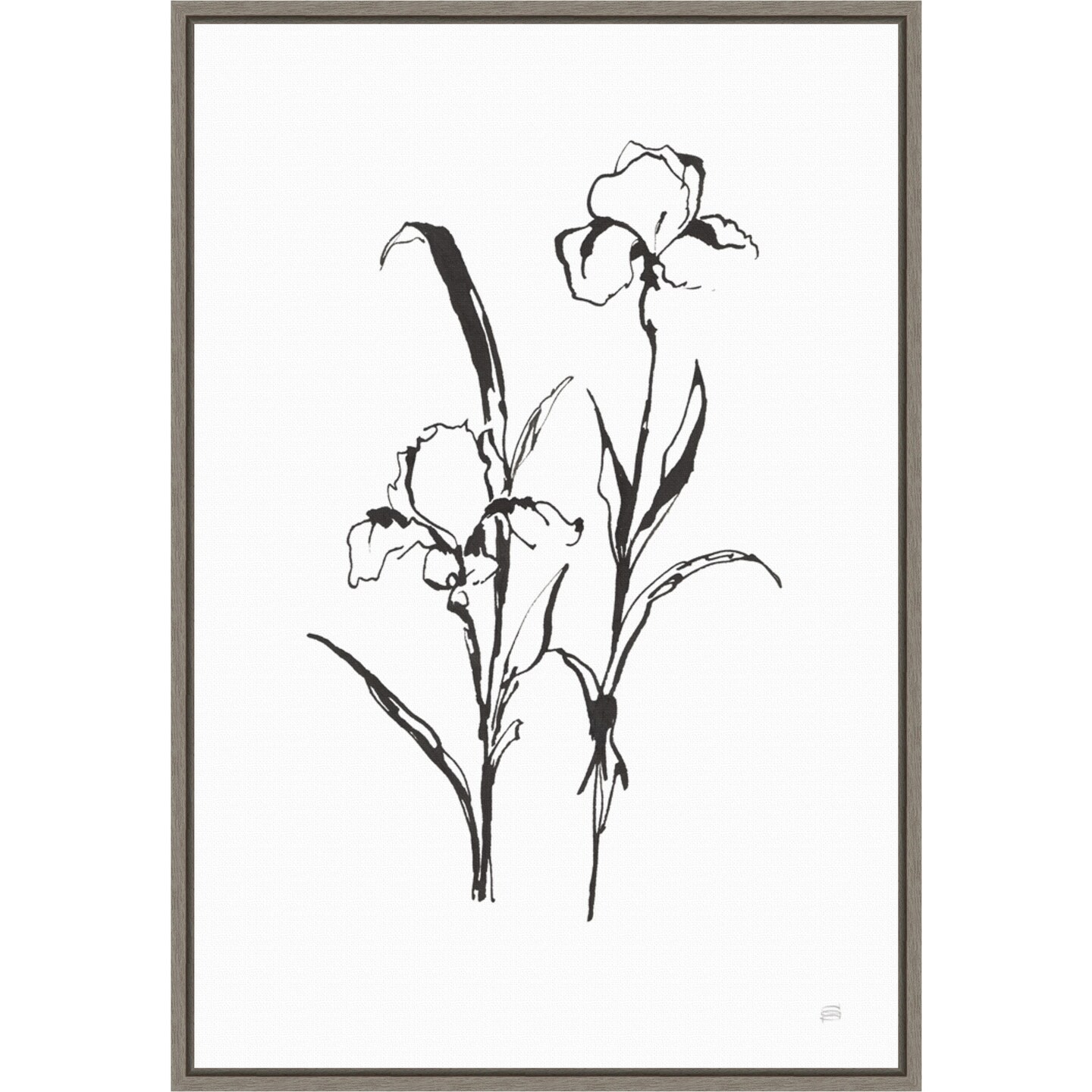 Line Iris Flower I by Chris Paschke 16-in. W x 23-in. H. Canvas Wall Art Print Framed in Grey