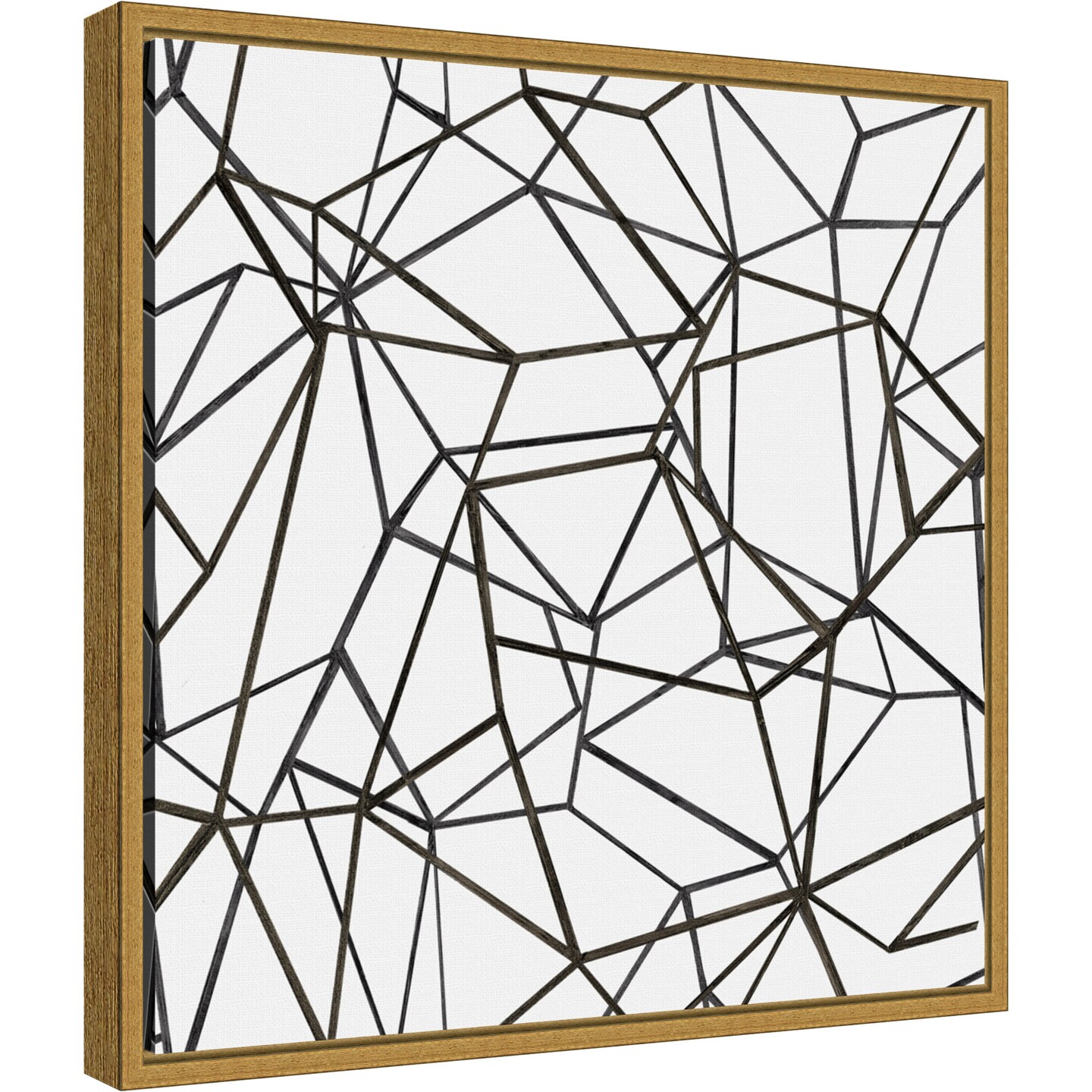 Succulent Pattern BW by Wild Apple Portfolio 16-in. W x 16-in. H. Canvas Wall Art Print Framed in Gold