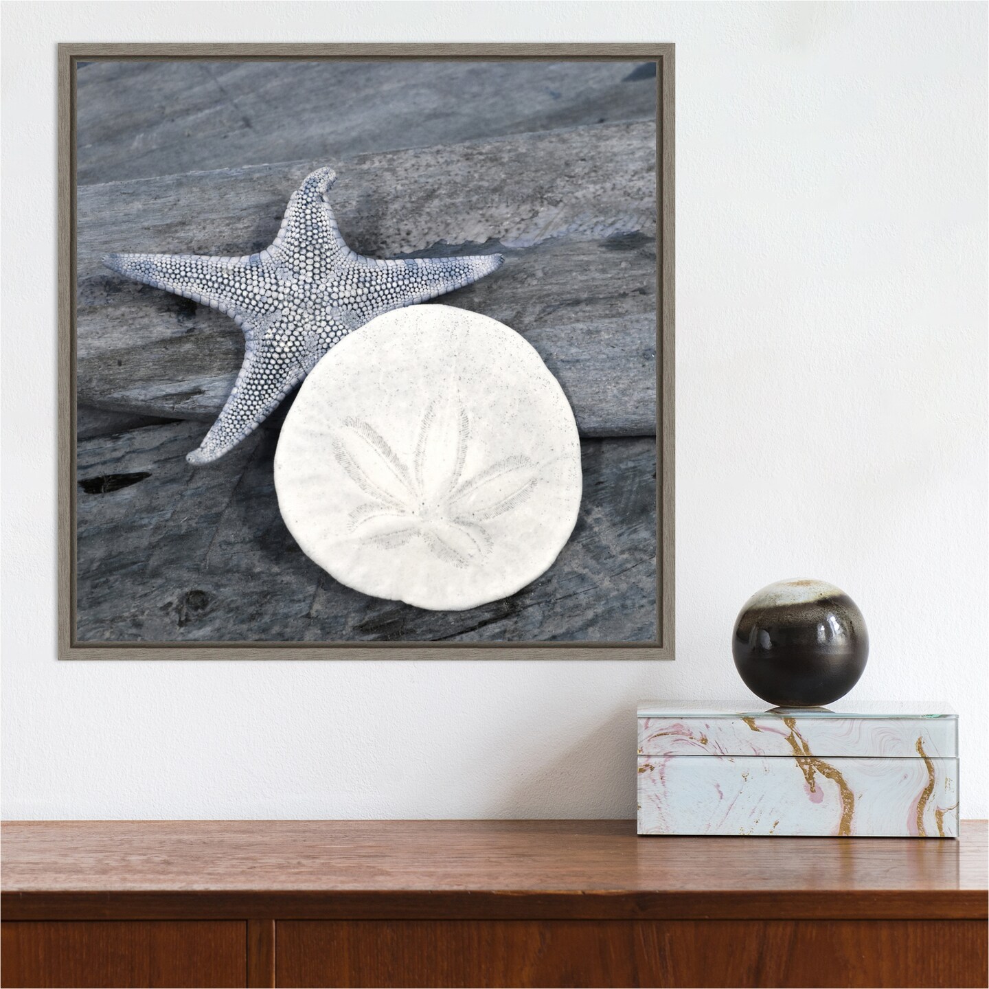 Nautical Shell still life by Savanah Plank Danita Delimont 16-in. W x 16-in. H. Canvas Wall Art Print Framed in Grey