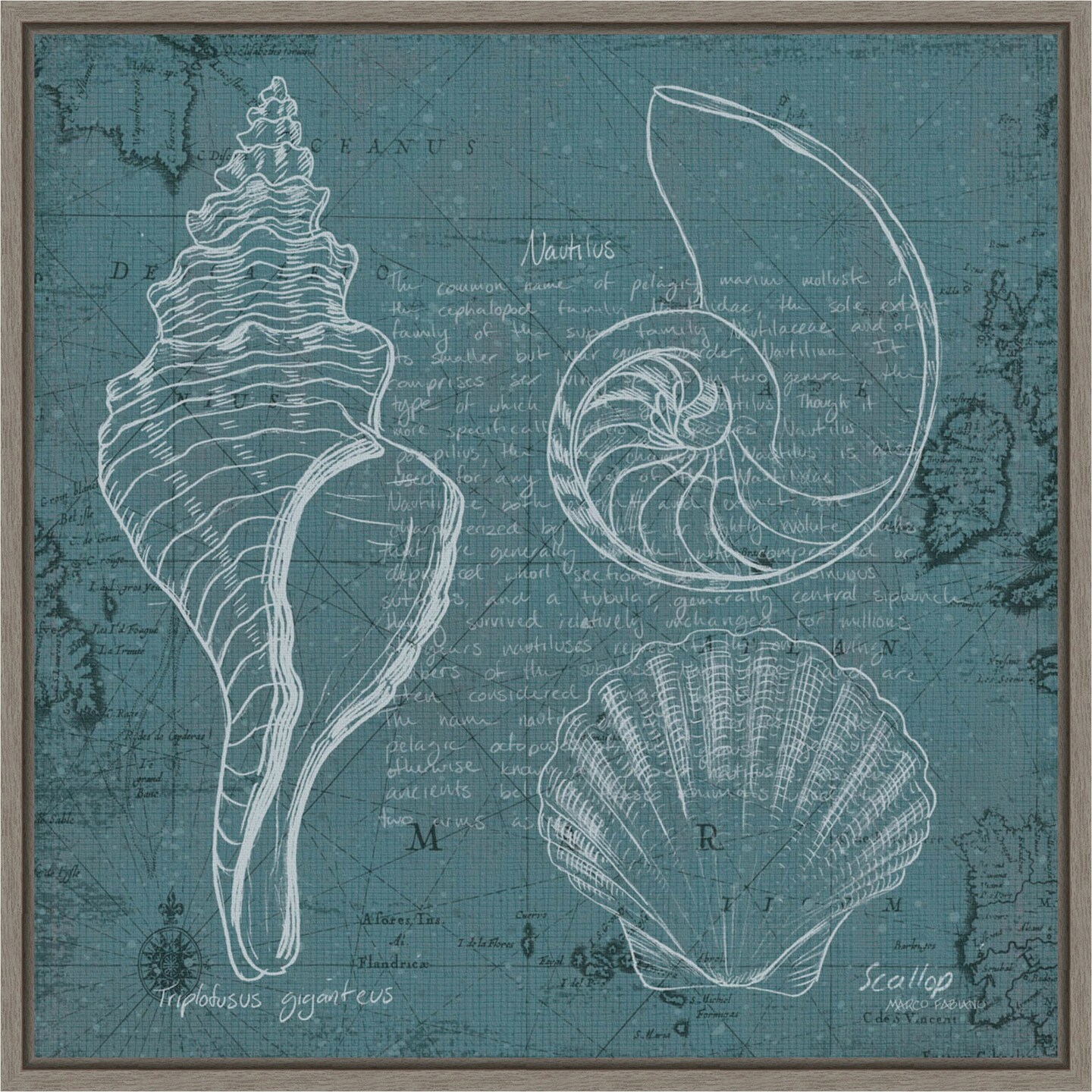 Coastal Blueprint I by Marco Fabiano 16-in. W x 16-in. H. Canvas Wall Art Print Framed in Grey