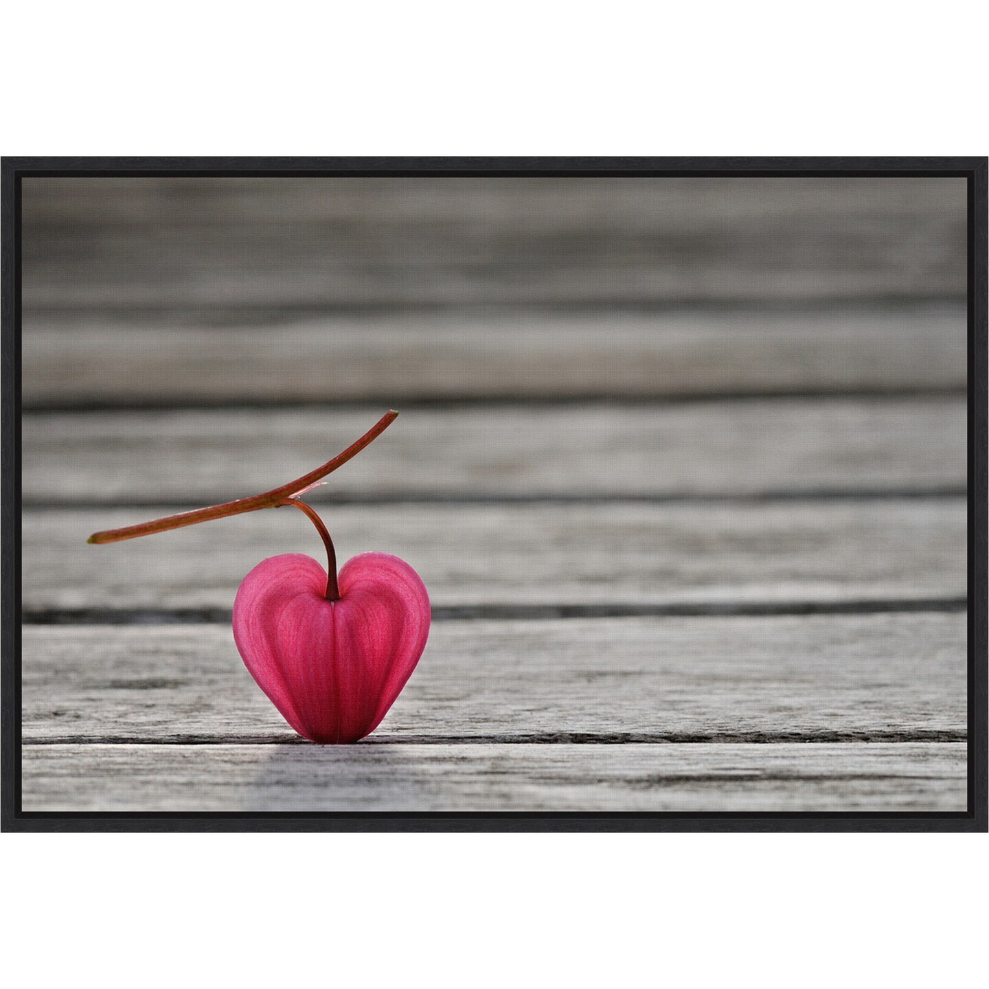 Natural heart by Lotte Gronkjaer 23-in. W x 16-in. H. Canvas Wall Art Print Framed in Black