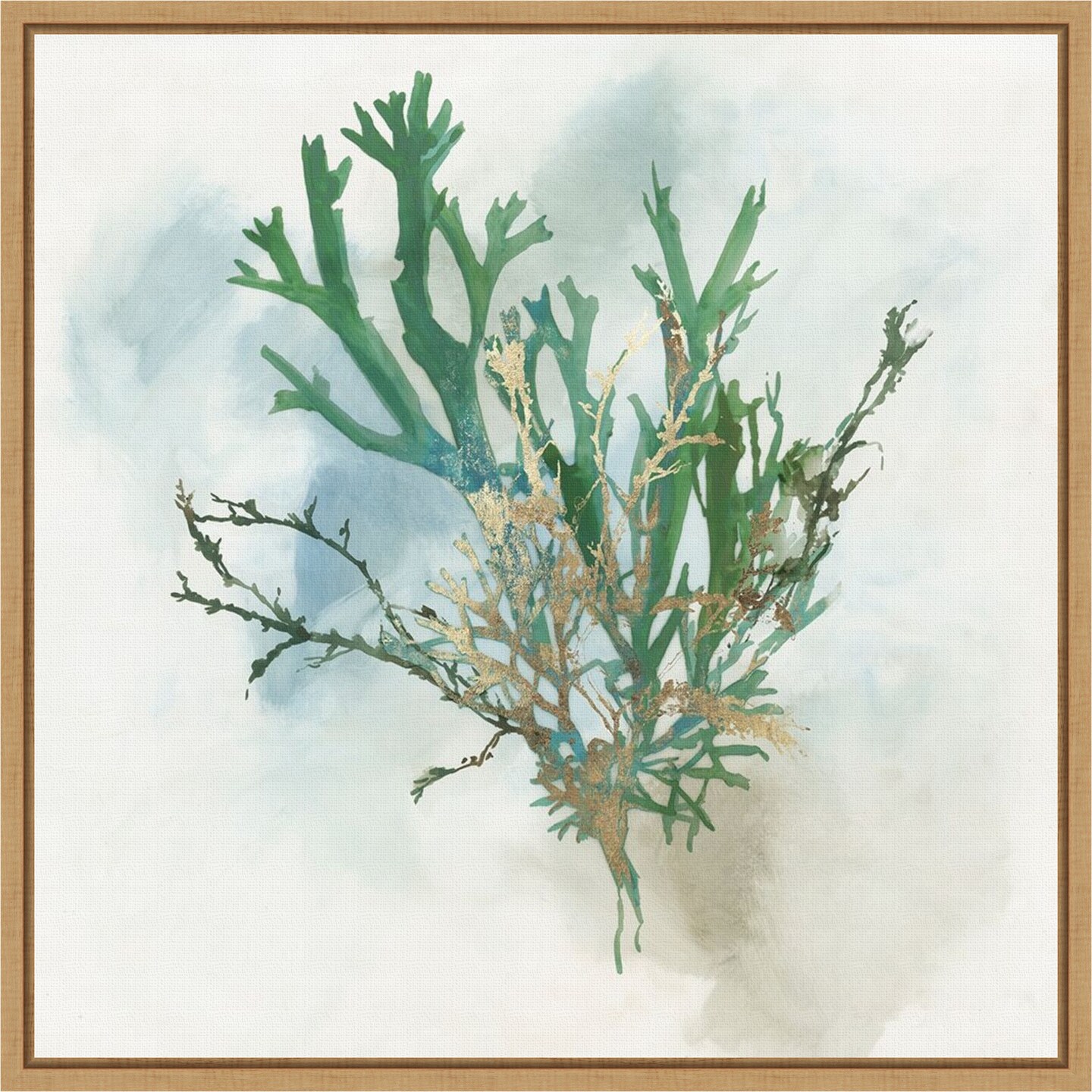 Green Coral I by Aimee Wilson 16-in. W x 16-in. H. Canvas Wall Art Print Framed in Natural