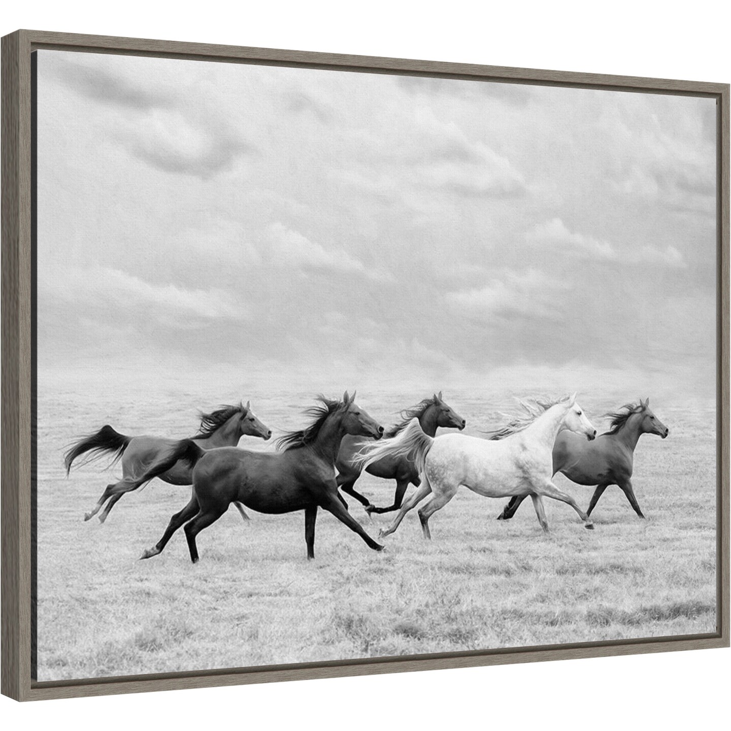 Horse Run I by PHBurchett 24-in. W x 18-in. H. Canvas Wall Art Print Framed in Grey