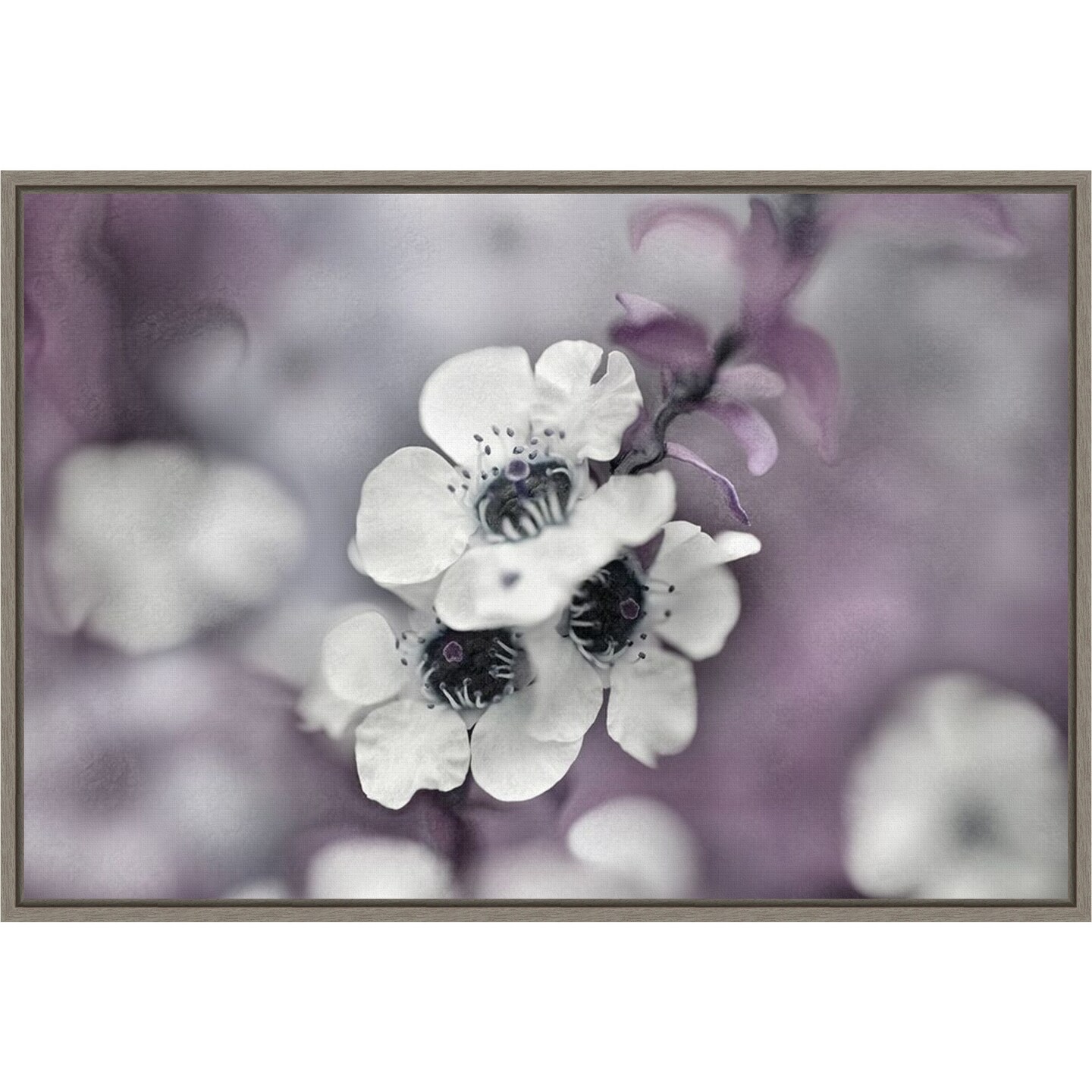 Tales from an Enchanted Flower Glen IV by Gillian Hunt 23-in. W x 16-in. H. Canvas Wall Art Print Framed in Grey