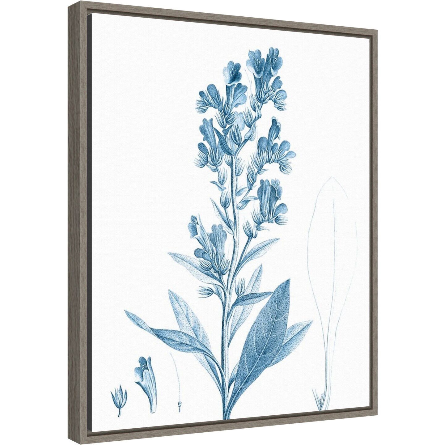 Antique Botanical in Blue III by Vision Studio 16-in. W x 20-in. H. Canvas Wall Art Print Framed in Grey