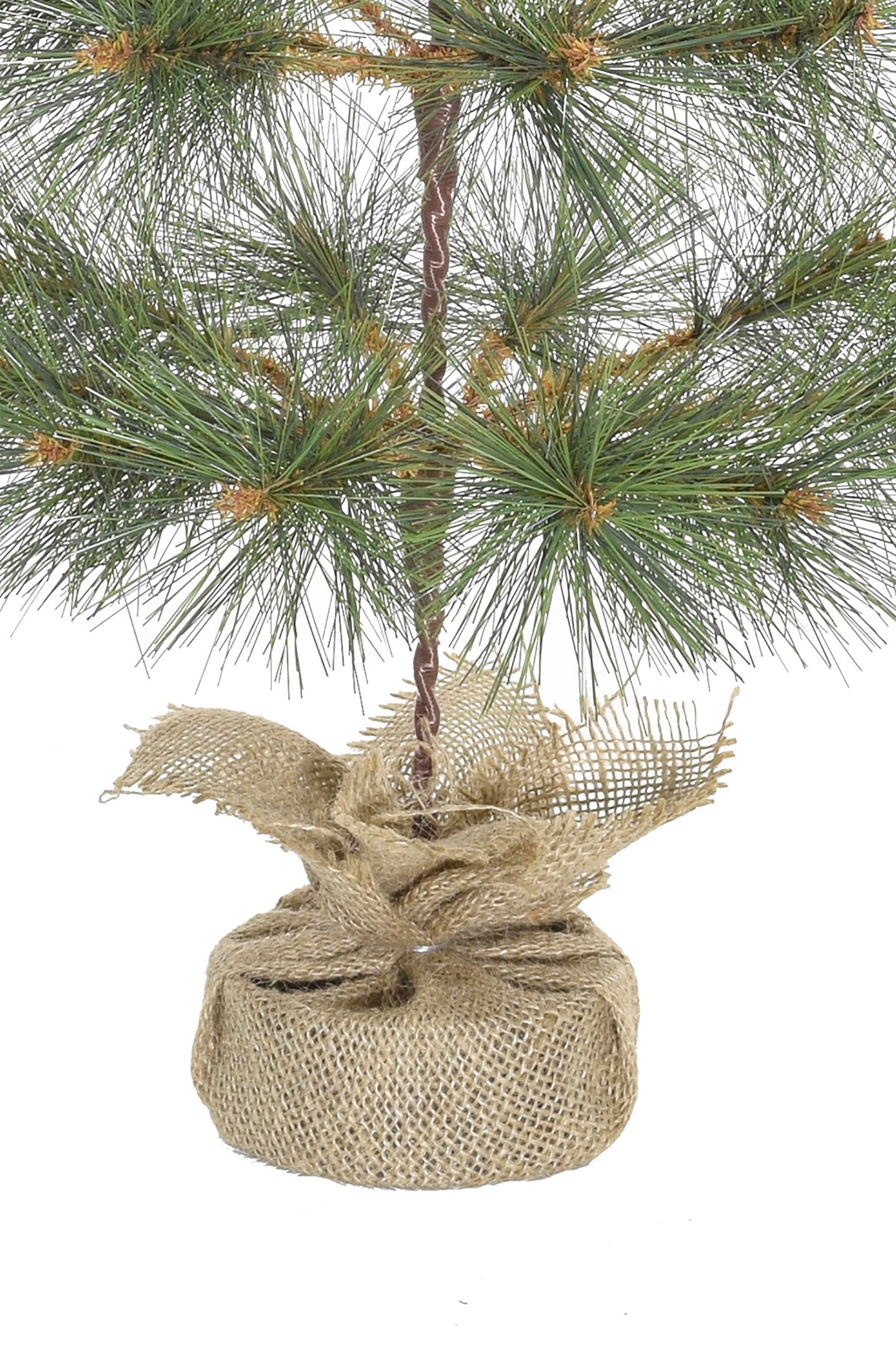 Perfect Holiday 24" Tabletop Mountain Pine Christmas Tree With Burlap Base