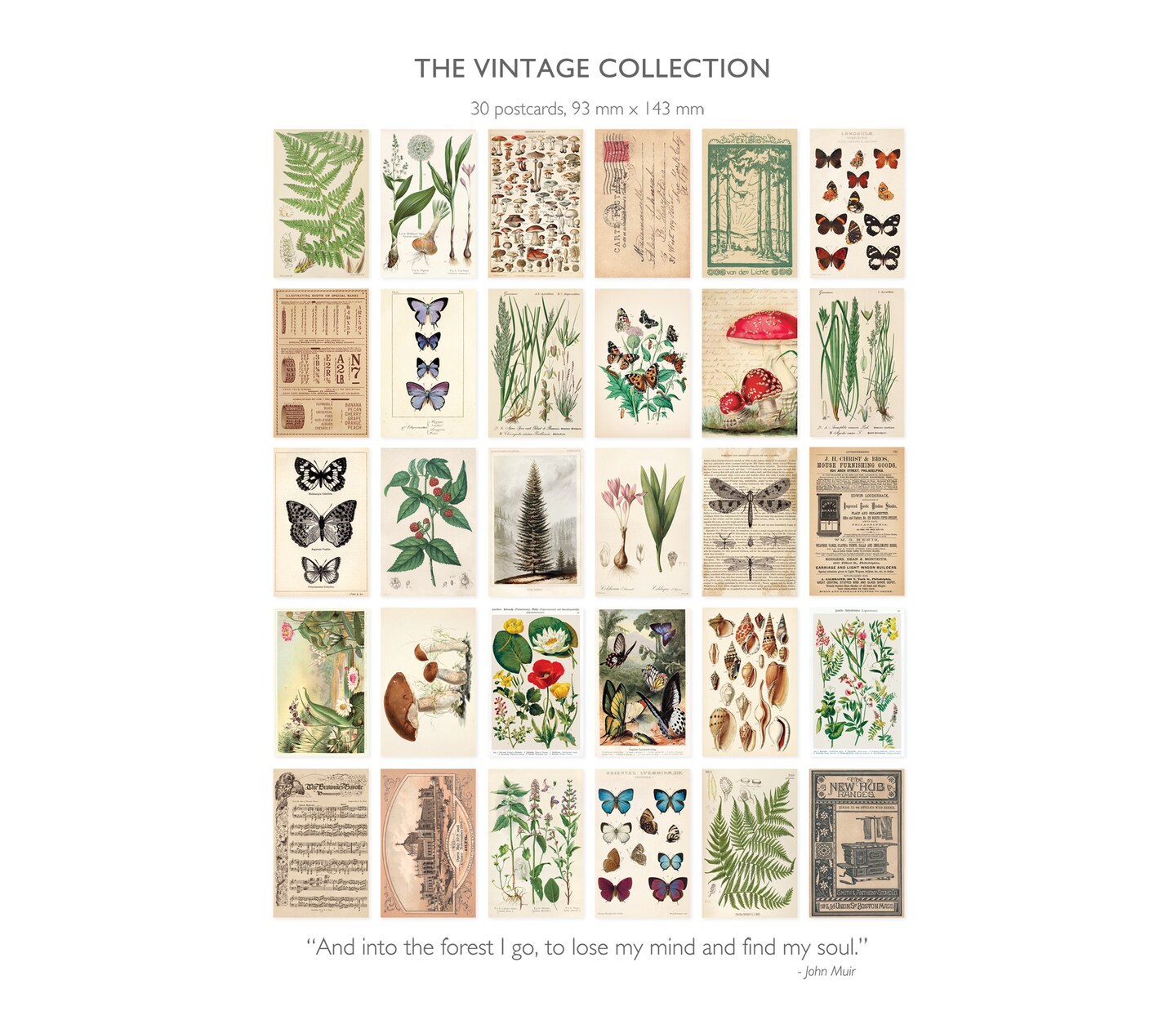 Vintage Collection Postcard Set: Pack of 30 Retro Style Botanical, Nature and Ephemera Postcards by Wintertime Crafts