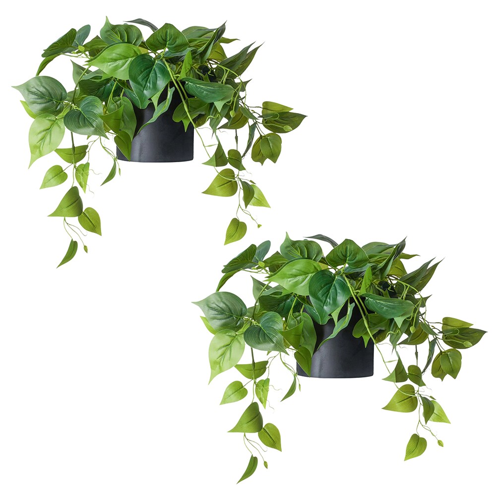 Faux Artificial Ivy Foliage Plant in Black Ceramic Pot (2 Pack)