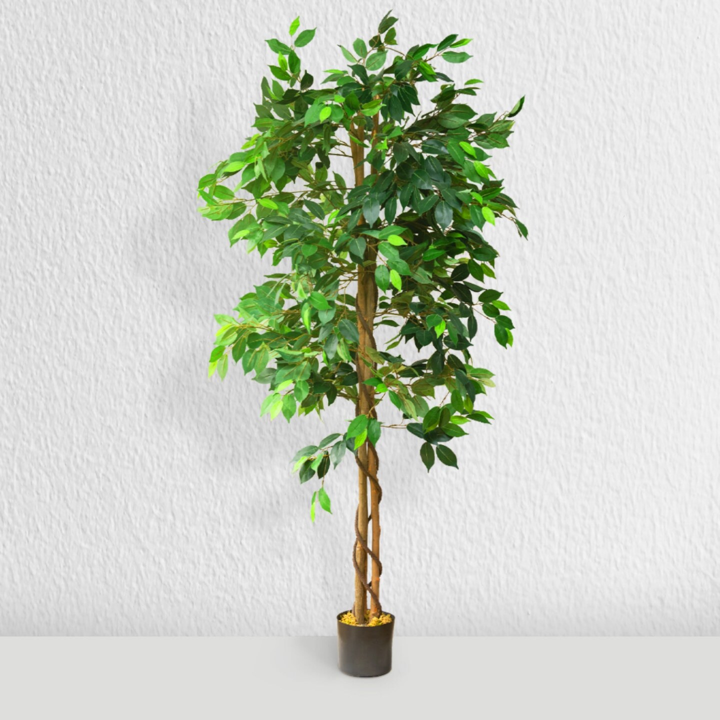 72&#x22; Artificial Ficus Silk Tree in Black Pot (2 Pack)