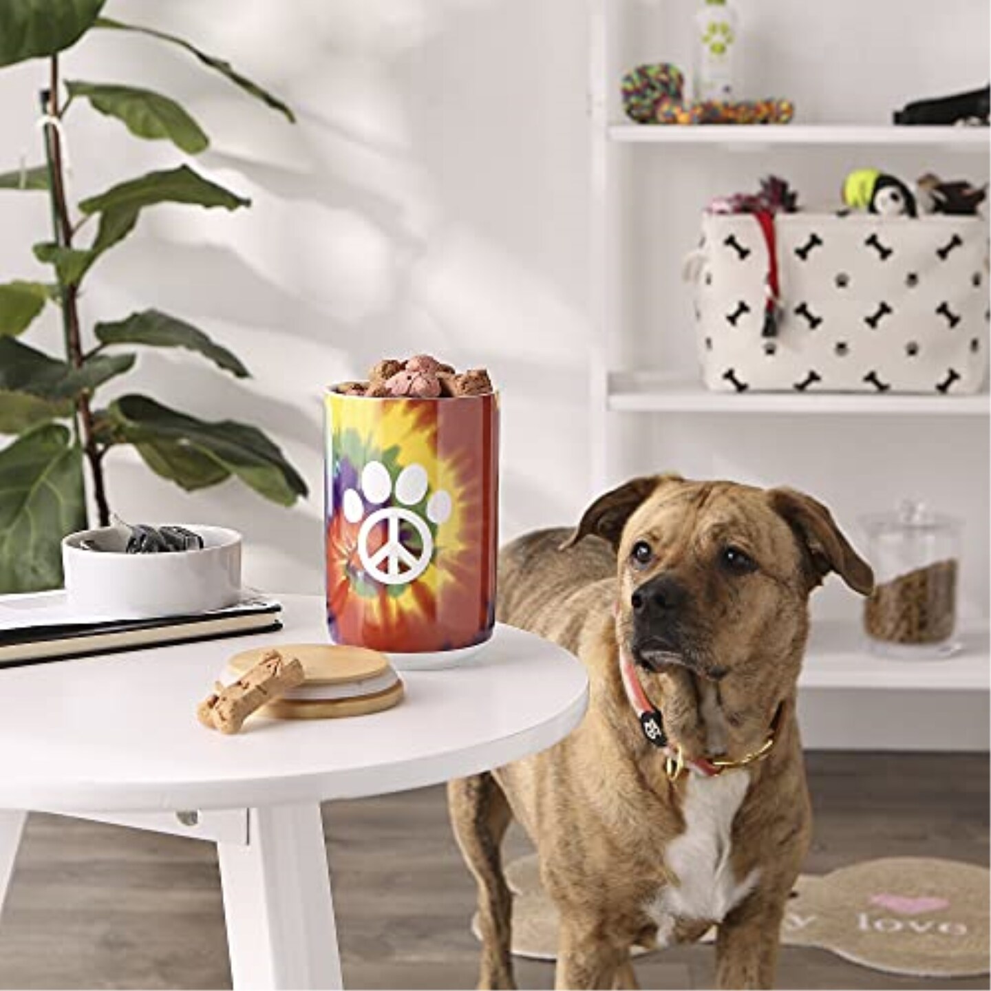 DII Peace Paw  Ceramic Treat Canister