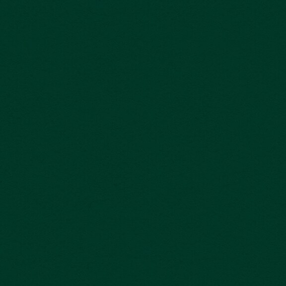 Forest Green Classic My Colors Cardstock - Photoplay