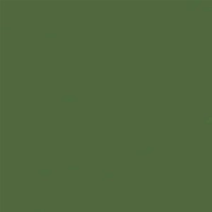 Kiwi Crush 12 x 12 Bazzill Cardstock