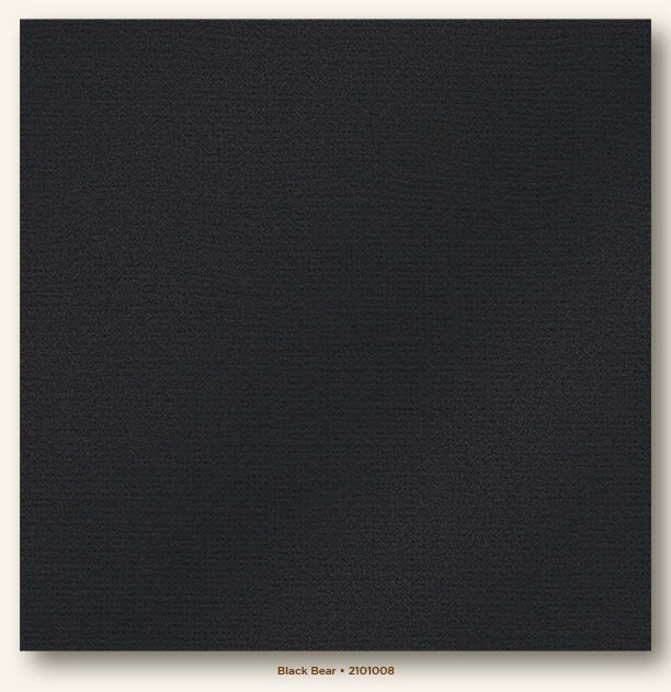 Black Bear Glimmer My Colors Cardstock - Photoplay