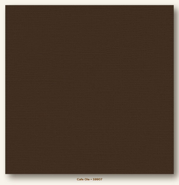 Café Ole Canvas Textured My Colors Cardstock - Photoplay
