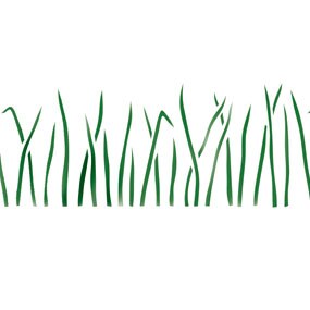 Grass Wall Stencil | 1960 by Designer Stencils | Outdoor Stencils | Reusable Art Craft Stencils for Painting on Walls, Canvas, Wood | Reusable Plastic Paint Stencil for Home Makeover | Easy to Use &#x26; Clean Art Stencil