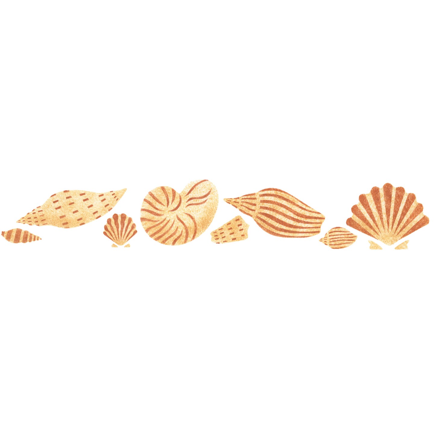 Detailed Shell Wall Stencil Border | 097 by Designer Stencils | Animal &#x26; Nature Stencils | Reusable Art Craft Stencils for Painting on Walls, Canvas, Wood | Reusable Plastic Paint Stencil for Home Makeover | Easy to Use &#x26; Clean Art Stencil