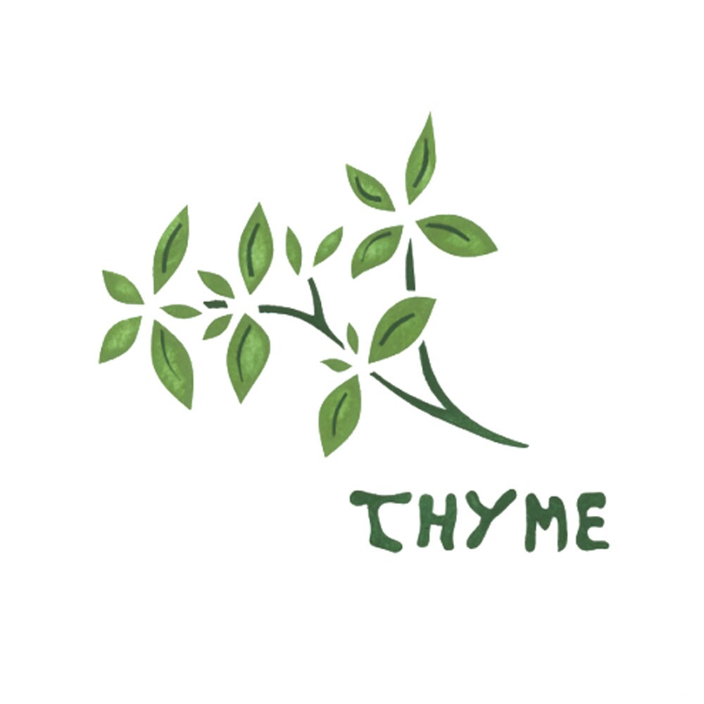 Thyme Tile Wall Stencil | 1401 by Designer Stencils | Word &#x26; Phrase Stencils | Reusable Art Craft Stencils for Painting on Walls, Canvas, Wood | Reusable Plastic Paint Stencil for Home Makeover | Easy to Use &#x26; Clean Art Stencil