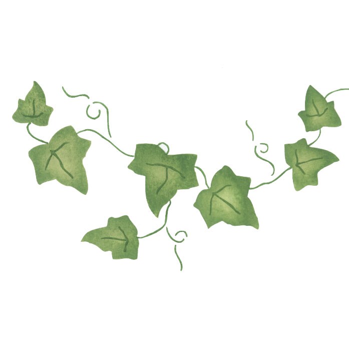 Tiny Ivy Wall Stencil | 2261 by Designer Stencils | Floral Stencils |