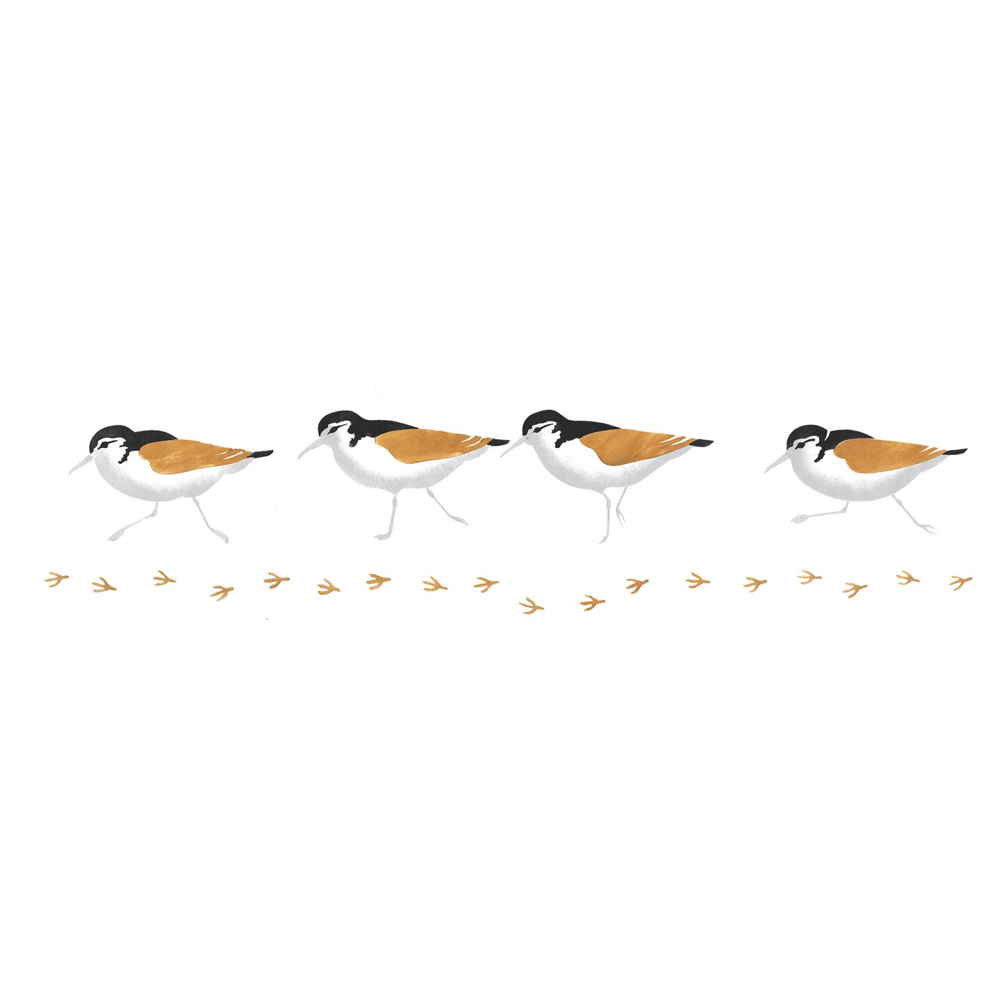 Sandpiper Wall Stencil Border | 002R by Designer Stencils | Animal &#x26; Nature Stencils | Reusable Art Craft Stencils for Painting on Walls, Canvas, Wood | Reusable Plastic Paint Stencil for Home Makeover | Easy to Use &#x26; Clean Art Stencil