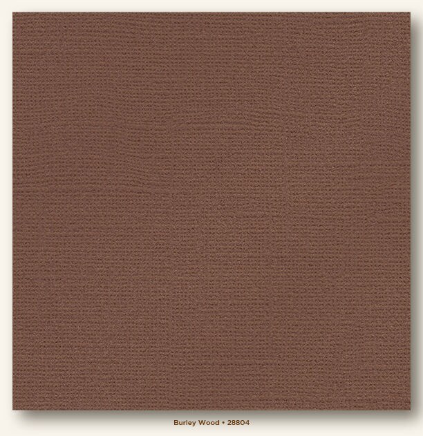 Burley Wood Glimmer My Colors Cardstock - Photoplay