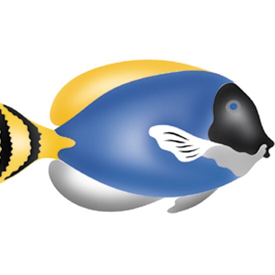 Surgeon Fish Wall Stencil | 1114 by Designer Stencils | Animal &#x26; Nature Stencils | Reusable Art Craft Stencils for Painting on Walls, Canvas, Wood | Reusable Plastic Paint Stencil for Home Makeover | Easy to Use &#x26; Clean Art Stencil