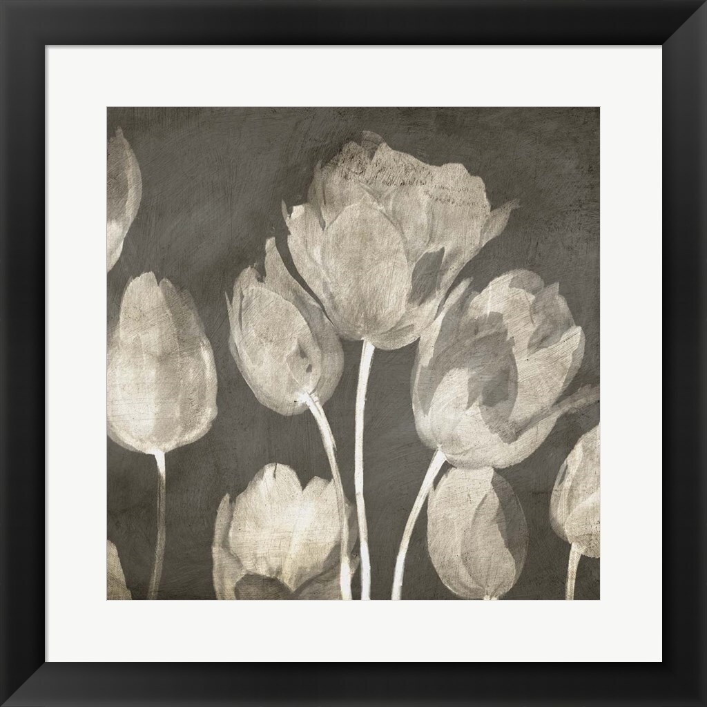 Washed Tulips II by Luca Villa 20" x 20" Framed Wall Art Framed Art