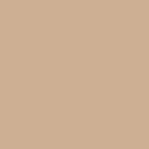Almond Cream 12 x 12 Bazzill Cardstock