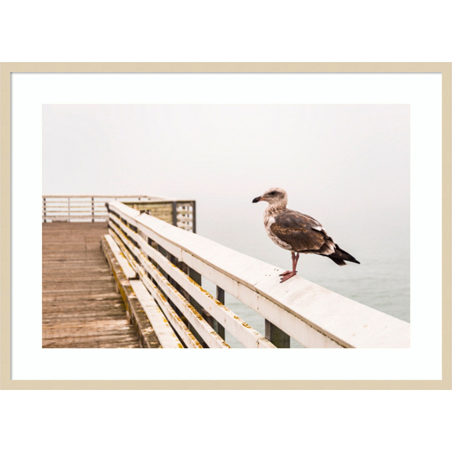 Sea gull on wharf by Alison Jones Danita Delimont Wood Framed Wall Art Print 41 in. W x 30 in. H