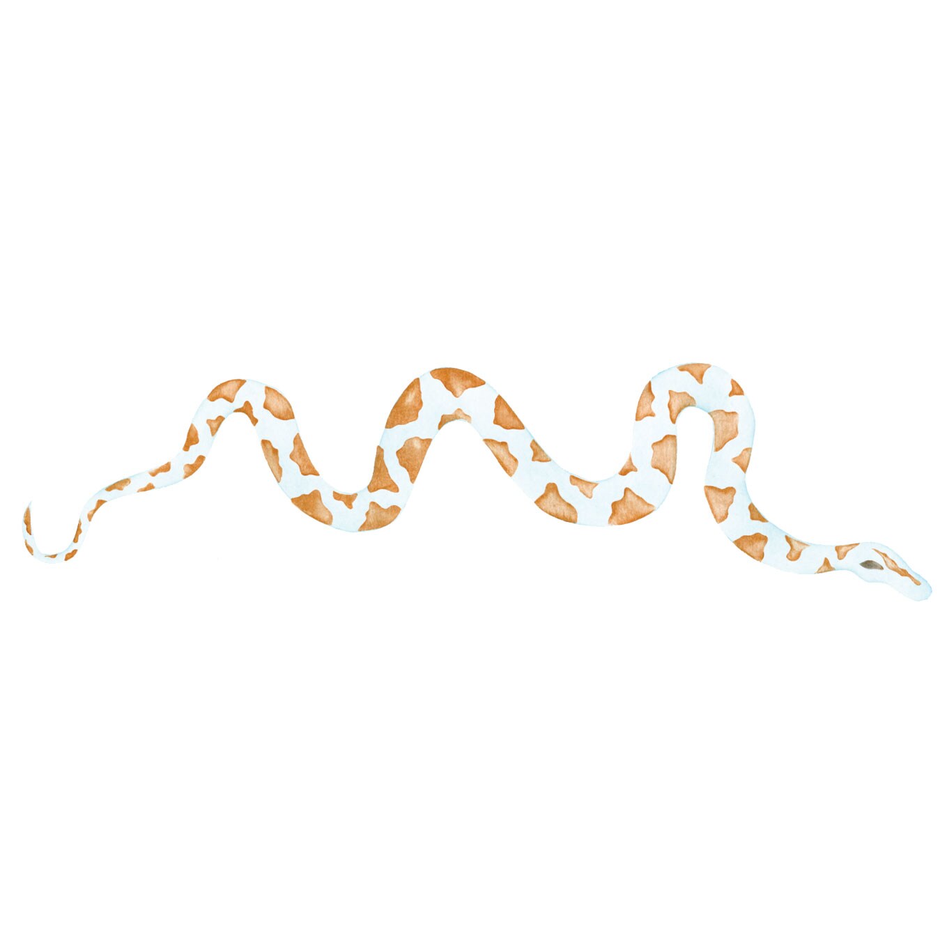 Snake Wall Stencil | 2274 by Designer Stencils | Animal &#x26; Nature Stencils | Reusable Art Craft Stencils for Painting on Walls, Canvas, Wood | Reusable Plastic Paint Stencil for Home Makeover | Easy to Use &#x26; Clean Art Stencil