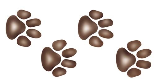 Tiger Paws Wall Stencil | 1516 by Designer Stencils | Animal &#x26; Nature Stencils | Reusable Art Craft Stencils for Painting on Walls, Canvas, Wood | Reusable Plastic Paint Stencil for Home Makeover | Easy to Use &#x26; Clean Art Stencil