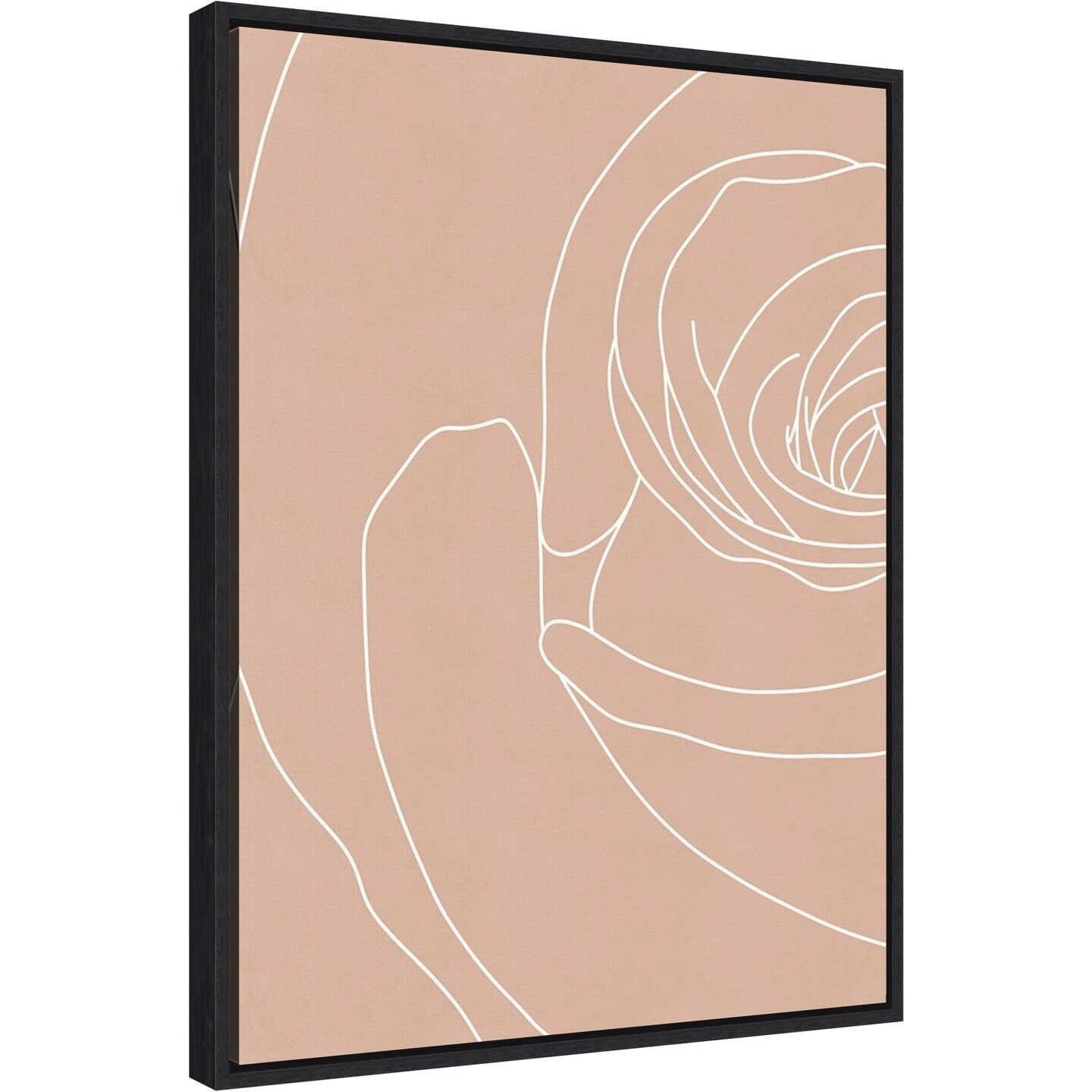 Blush Flowers III by Sarah Leonard Canvas Wall Art Print Framed