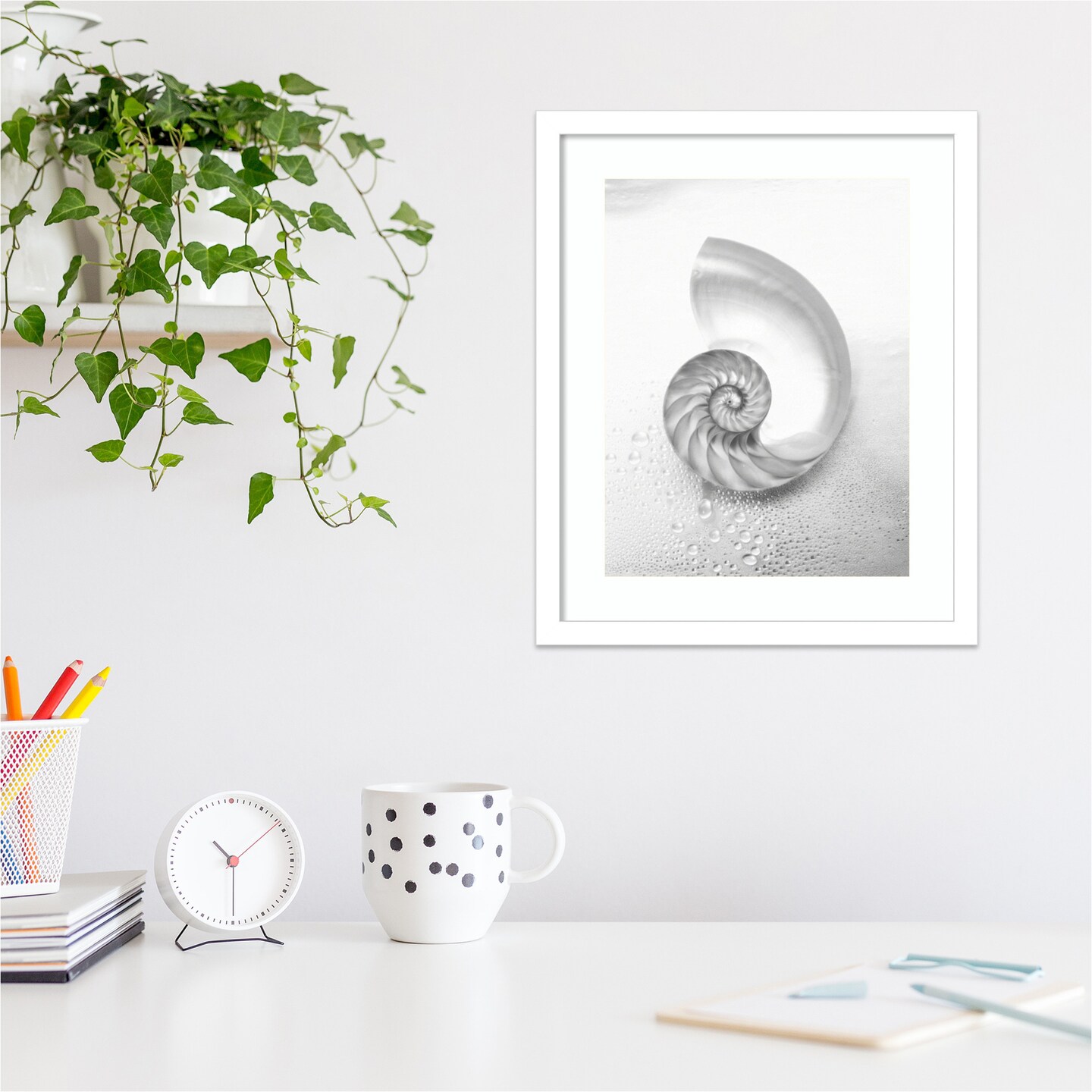 Pearl Nautilus Shell Cut In Half Showing Chambers by Design Pics Danita