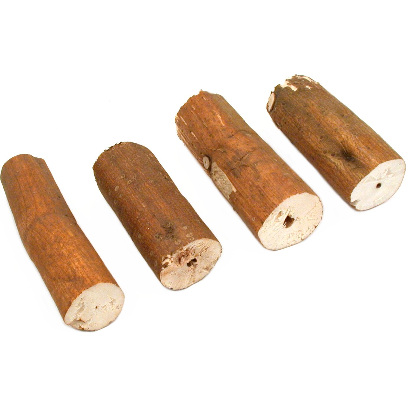 Watch Repair Pithwood Florida Button Pegwood Sawdust