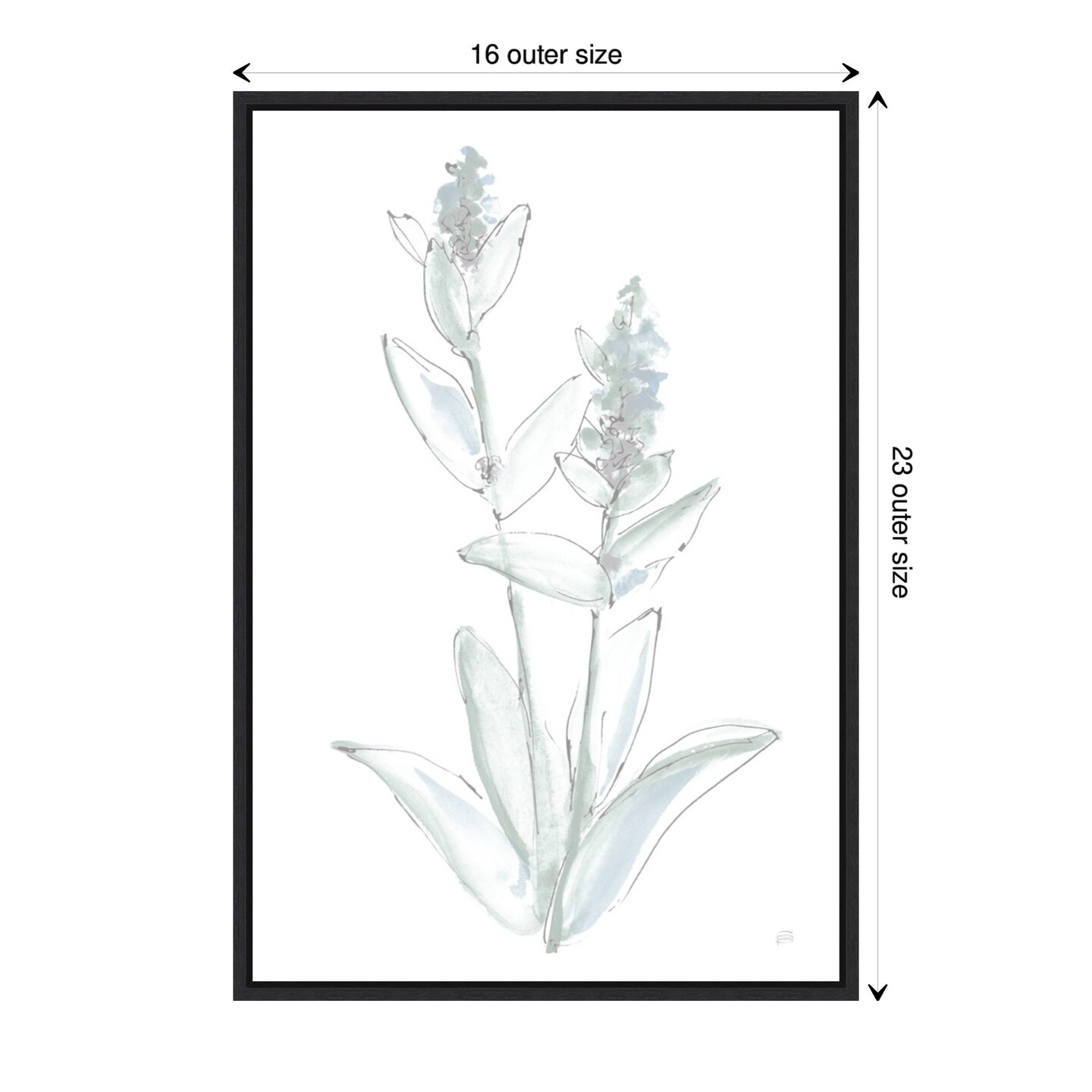 Lambs Ear Sage IV Bleached by Chris Paschke Canvas Wall Art Print Framed