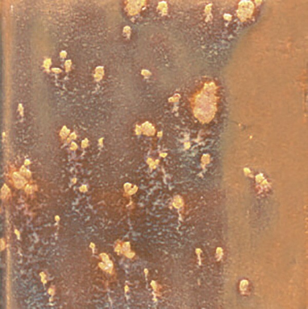 Mayco Elements Chunkies NonToxic Ceramic Glaze, 1 pt Bottle, Glowing Ember Glazes Michaels