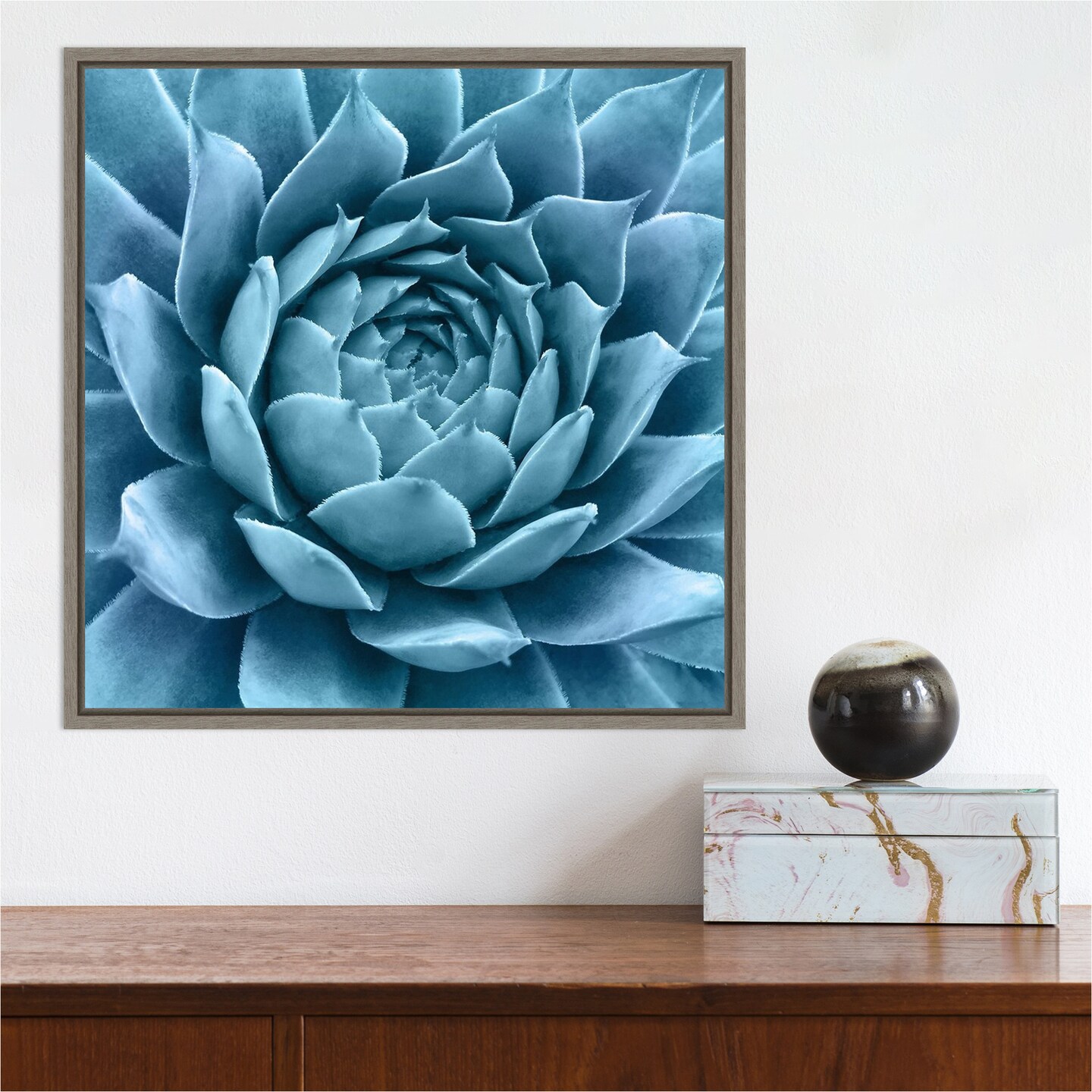 Silvery Blue Agave by Jan Bell 16-in. W x 16-in. H. Canvas Wall Art Print Framed in Grey