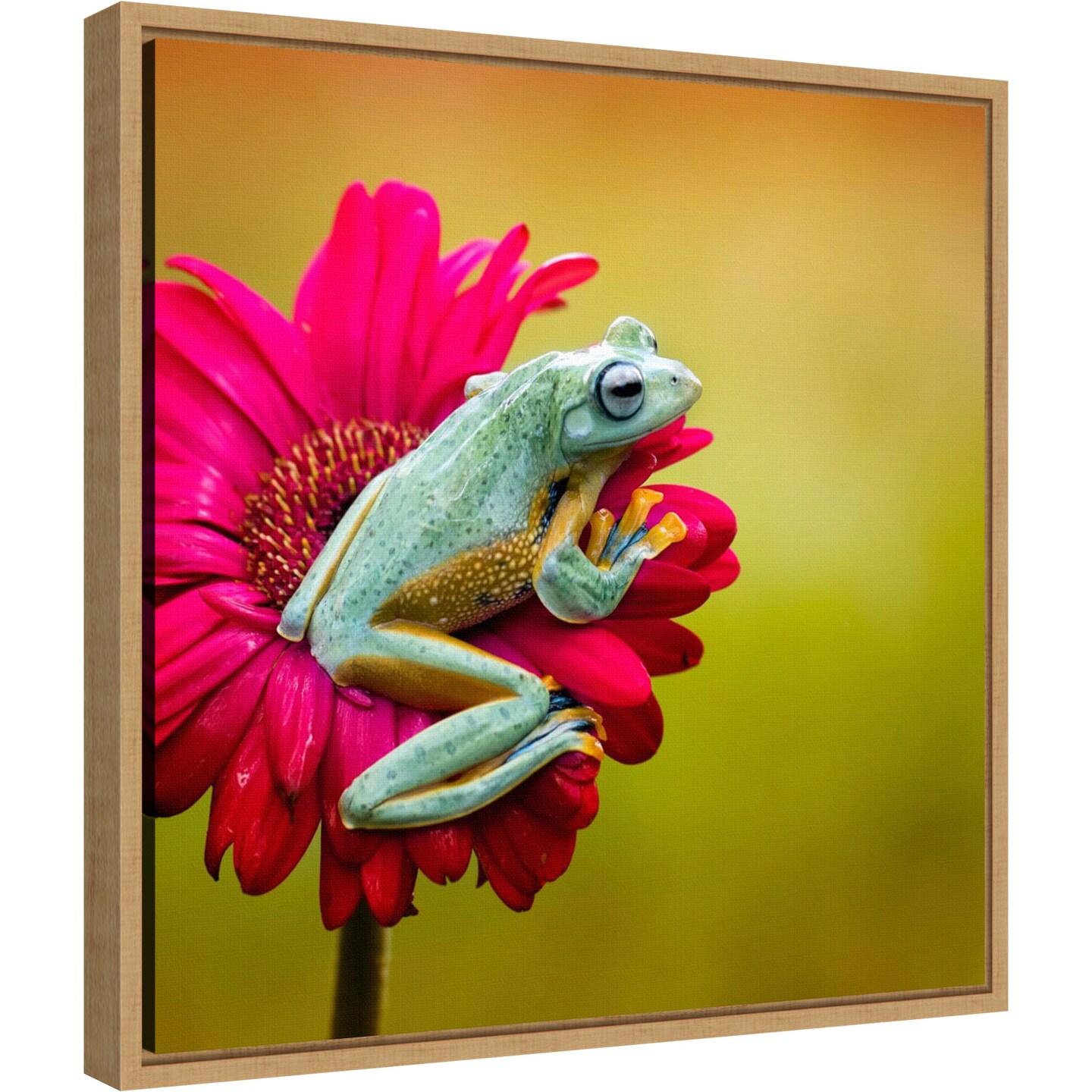 Pretty Frog on Pink Flower by Fauzan Maududdin 16-in. W x 16-in. H. Canvas Wall Art Print Framed in Natural