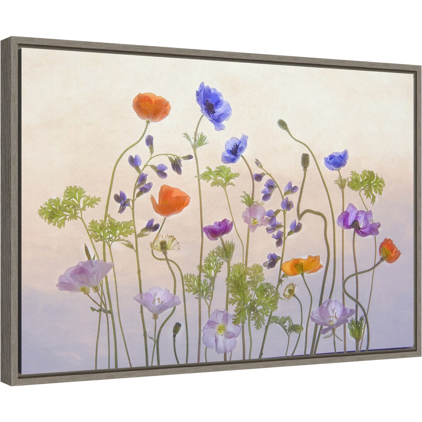 Poppy & Anemone (Flowers) by Catherine W. 23-in. W x 16-in. H. Canvas Wall Art Print Framed in Grey