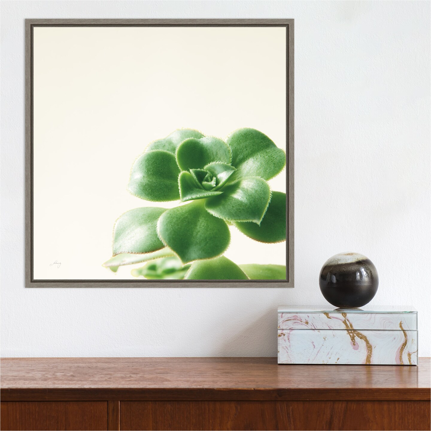 Succulent Simplicity VIII Neutral by Felicity Bradley 16-in. W x 16-in. H. Canvas Wall Art Print Framed in Grey