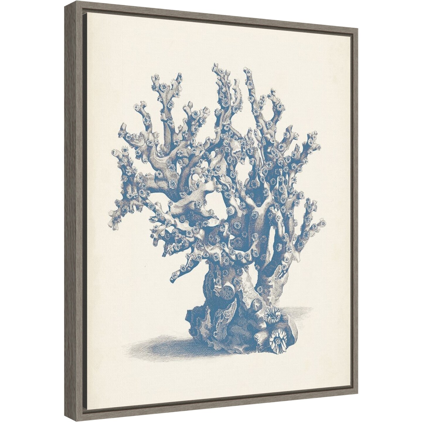 Antique Coral Collection V by Vision Studio 16-in. W x 20-in. H. Canvas Wall Art Print Framed in Grey