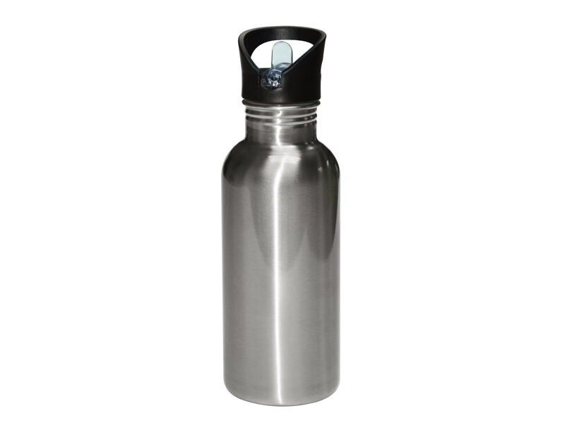 600ml Stainless Steel Straw Top Water Bottle (Silver) (BGHS01) FL-10