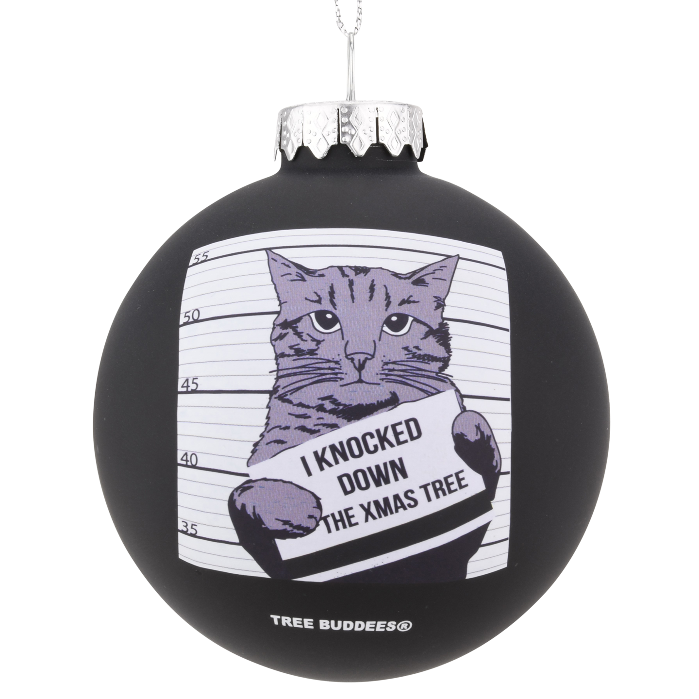 Cat Mugshot Glass Christmas Ornament